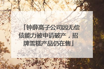 钟薛高子公司因无偿债能力被申请破产，招牌雪糕产品仍在售