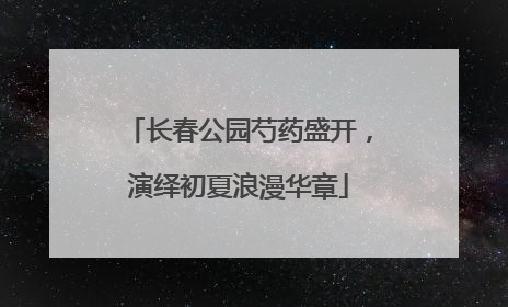 长春公园芍药盛开，演绎初夏浪漫华章