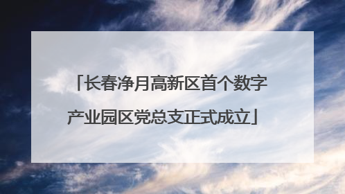 长春净月高新区首个数字产业园区党总支正式成立