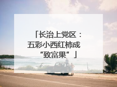 长治上党区：五彩小西红柿成“致富果”