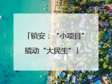 镇安：“小项目”撬动“大民生”