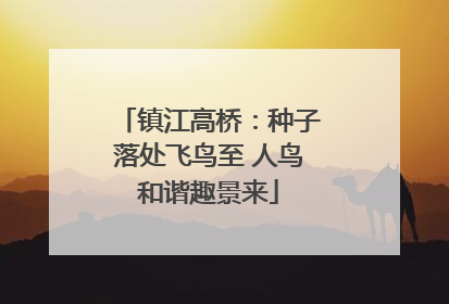 镇江高桥：种子落处飞鸟至 人鸟和谐趣景来