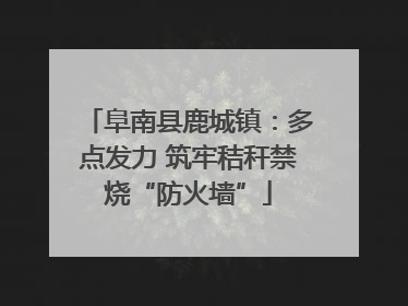 阜南县鹿城镇：多点发力 筑牢秸秆禁烧“防火墙”