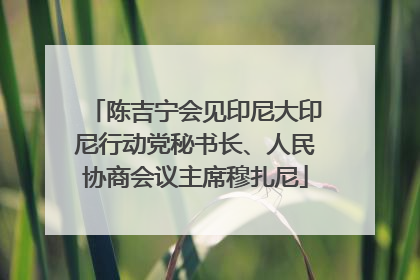 陈吉宁会见印尼大印尼行动党秘书长、人民协商会议主席穆扎尼