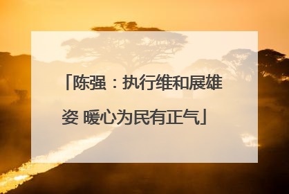 陈强：执行维和展雄姿 暖心为民有正气