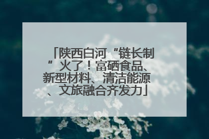 陕西白河“链长制”火了！富硒食品、新型材料、清洁能源、文旅融合齐发力