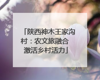 陕西神木王家沟村：农文旅融合 激活乡村活力