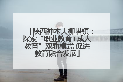 陕西神木大柳塔镇：探索“职业教育+成人教育”双轨模式 促进教育融合发展