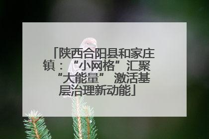 陕西合阳县和家庄镇：“小网格”汇聚“大能量” 激活基层治理新动能