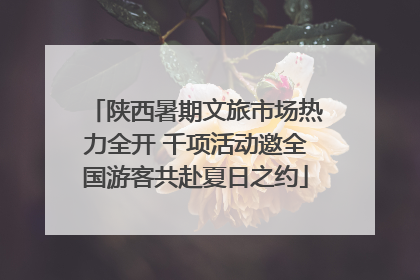 陕西暑期文旅市场热力全开 千项活动邀全国游客共赴夏日之约