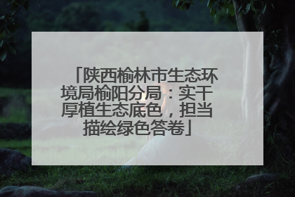 陕西榆林市生态环境局榆阳分局：实干厚植生态底色，担当描绘绿色答卷