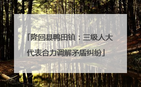 隆回县鸭田镇：三级人大代表合力调解矛盾纠纷
