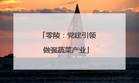 零陵：党建引领 做强蔬菜产业