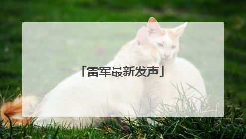 雷军最新发声