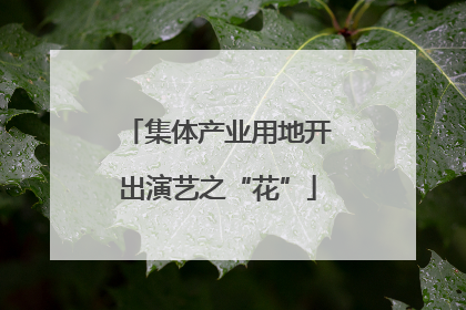 集体产业用地开出演艺之“花”