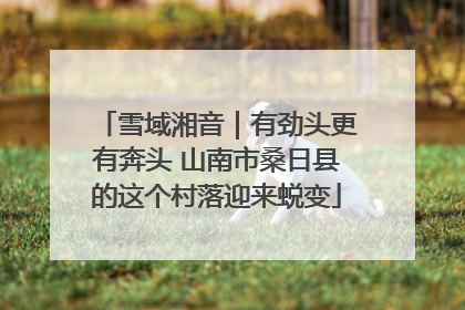 雪域湘音｜有劲头更有奔头 山南市桑日县的这个村落迎来蜕变