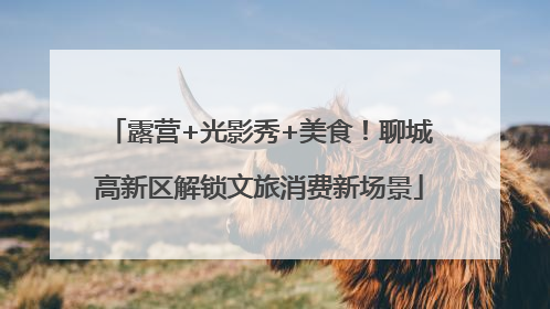 露营+光影秀+美食！聊城高新区解锁文旅消费新场景