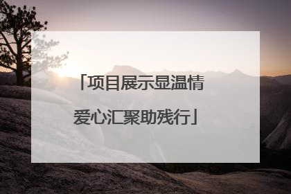 项目展示显温情 爱心汇聚助残行
