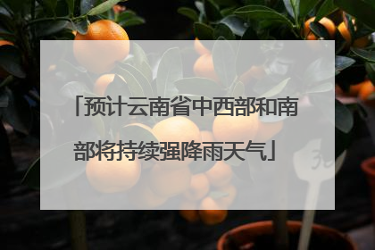 预计云南省中西部和南部将持续强降雨天气