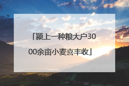 颍上一种粮大户3000余亩小麦喜丰收