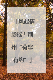 风起倩影摇！荆州“荷您有约”
