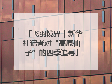 飞羽镜界｜新华社记者对“高原仙子”的四季追寻