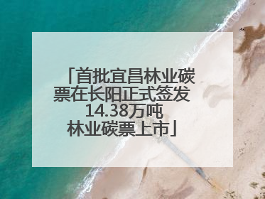首批宜昌林业碳票在长阳正式签发 14.38万吨林业碳票上市