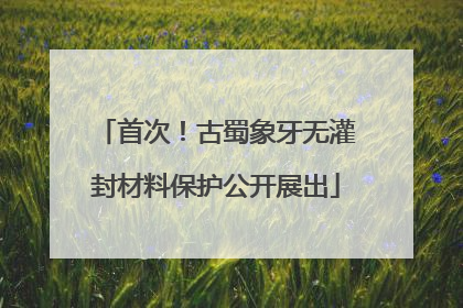 首次！古蜀象牙无灌封材料保护公开展出