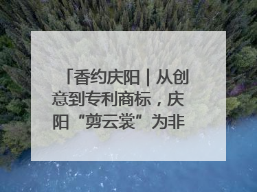 香约庆阳｜从创意到专利商标，庆阳“剪云裳”为非遗市场化探路