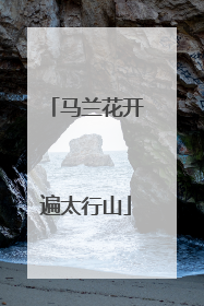 马兰花开遍太行山