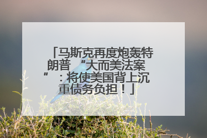 马斯克再度炮轰特朗普 “大而美法案”：将使美国背上沉重债务负担！