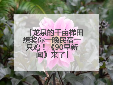 龙泉的千亩梯田想奖你一晚民宿一只鸡！《90早新闻》来了