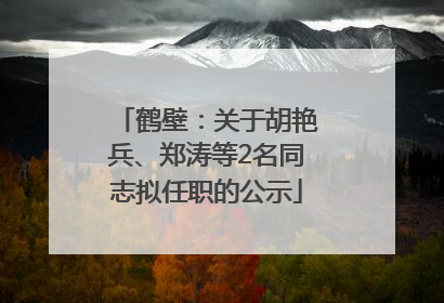 鹤壁：关于胡艳兵、郑涛等2名同志拟任职的公示