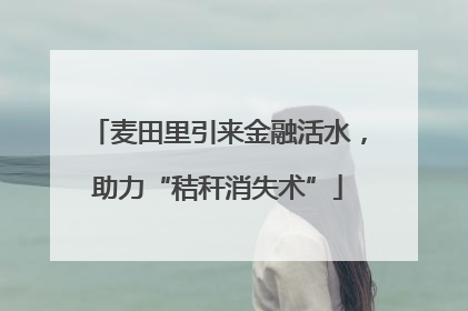 麦田里引来金融活水，助力“秸秆消失术”