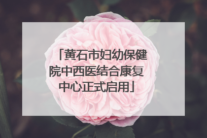 黄石市妇幼保健院中西医结合康复中心正式启用