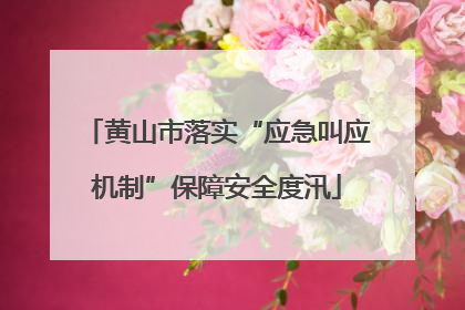 黄山市落实“应急叫应机制”保障安全度汛