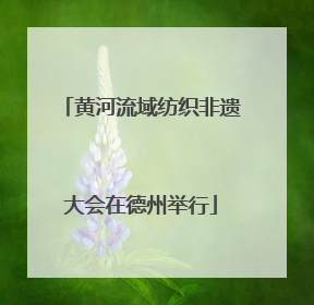 黄河流域纺织非遗大会在德州举行