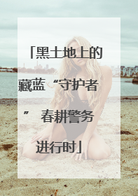 黑土地上的藏蓝“守护者” 春耕警务进行时