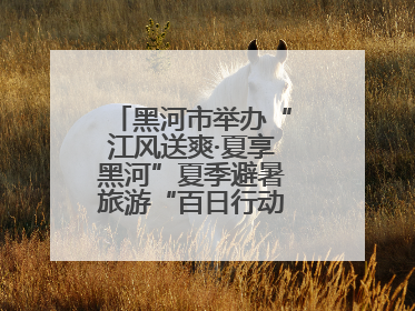 黑河市举办“江风送爽·夏享黑河”夏季避暑旅游“百日行动”新闻发布会