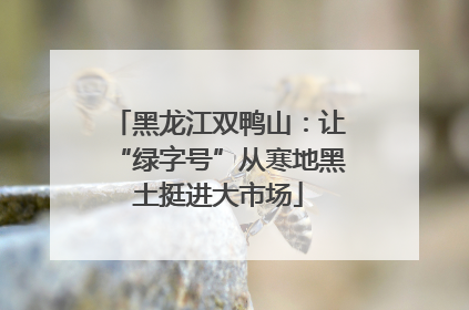 黑龙江双鸭山：让“绿字号”从寒地黑土挺进大市场