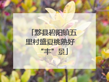 黟县碧阳镇五里村盛夏桃熟好“丰”景
