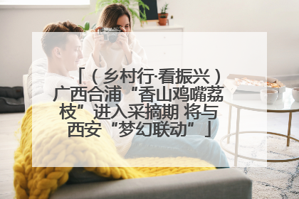 （乡村行·看振兴）广西合浦“香山鸡嘴荔枝”进入采摘期 将与西安“梦幻联动”