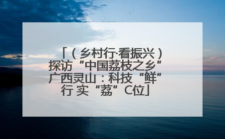 （乡村行·看振兴）探访“中国荔枝之乡”广西灵山：科技“鲜”行 实“荔”C位