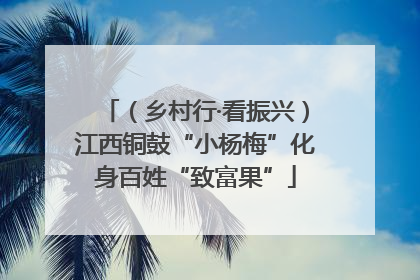 （乡村行·看振兴）江西铜鼓“小杨梅”化身百姓“致富果”