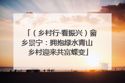 （乡村行·看振兴）畲乡景宁：拥抱绿水青山 乡村迎来共富蝶变