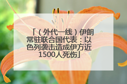 （外代一线）伊朗常驻联合国代表：以色列袭击造成伊方近1500人死伤