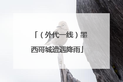 （外代一线）墨西哥城遭遇降雨