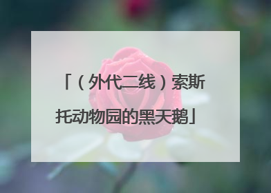 （外代二线）索斯托动物园的黑天鹅