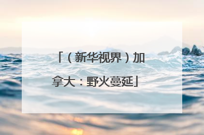 （新华视界）加拿大：野火蔓延