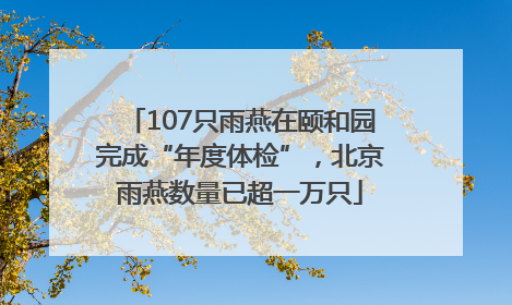 107只雨燕在颐和园完成“年度体检”，北京雨燕数量已超一万只